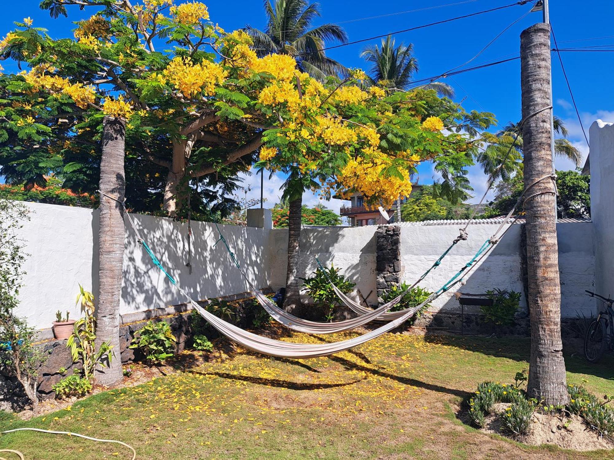 Hostal Tero Real Puerto Villamil Exterior foto